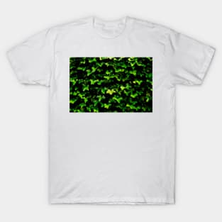 Hedera T-Shirt